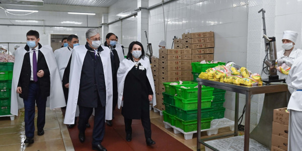 Президент Мырзатай ауылындағы құс фабрикасының жұмысымен танысты