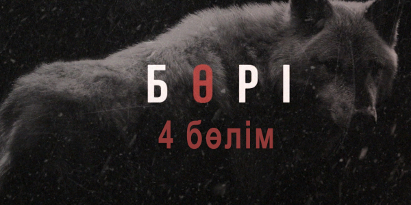 Бөрі телехикаясы