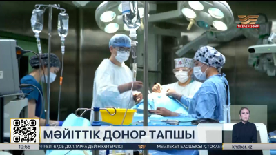 Елде мәйіттік донор тапшы