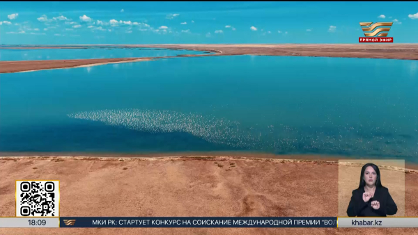 40 млн кубометров воды направлено в Коргалжынский заповедник
