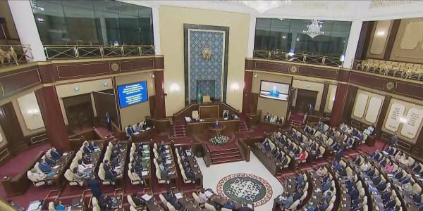 Парламент депутаттары демалысқа шықты