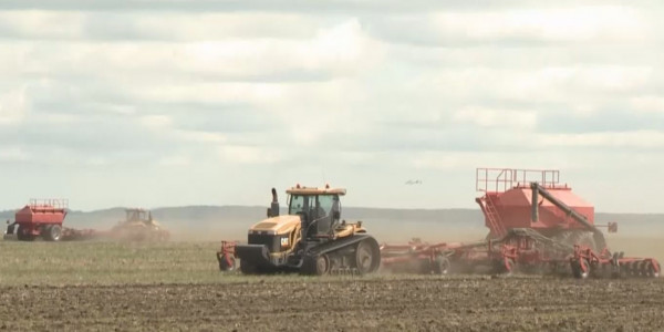 Новую концепцию программы развития АПК разработают индивидуально для каждого региона