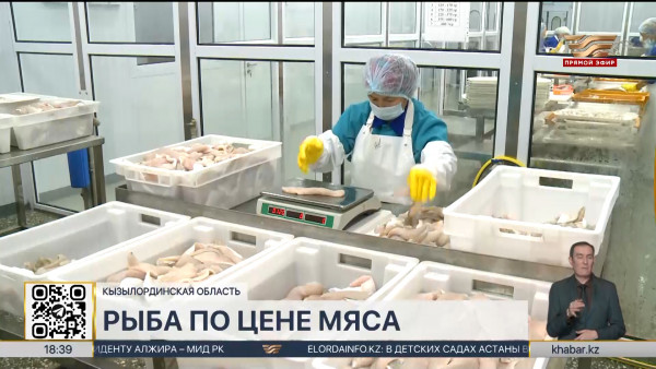 Рыбу по цене мяса покупают жители Кызылординской области