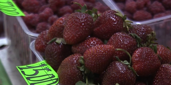 Установить лимит на торговые надбавки к стоимости отечественных овощей и фруктов могут в Казахстане