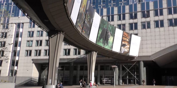 demokratiyalandyru bastamalary