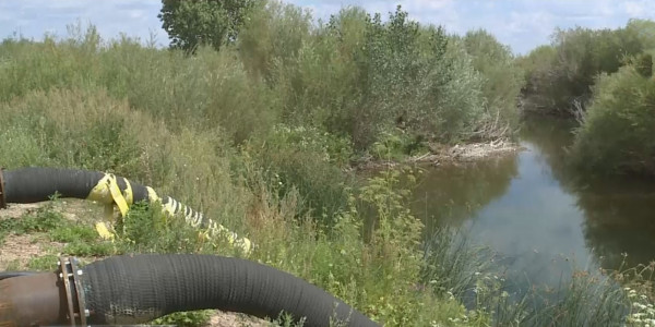 Қарағанды өңіріндегі Шерубайнұра өзені тартылып барады