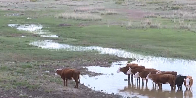 Животноводы Карагандинской области просят восстановить водохранилище