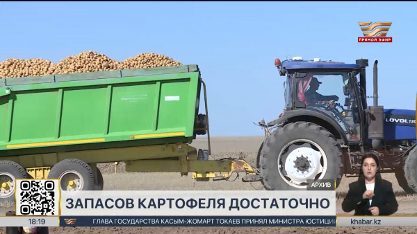 Экспорт картофеля ограничили на полгода в Казахстане