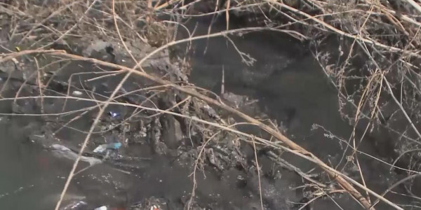 ШҚО-да кәріз суы өзенді ластады