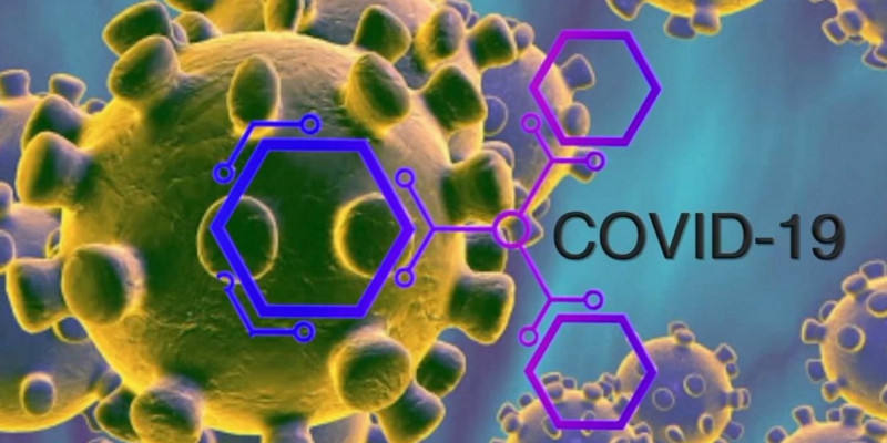 Статистика по коронавирусу разделена на 4 категории