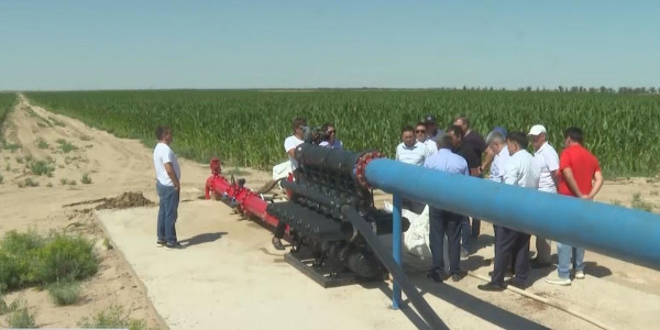 Алматы облысындағы шаруалар суға зәру болып отыр