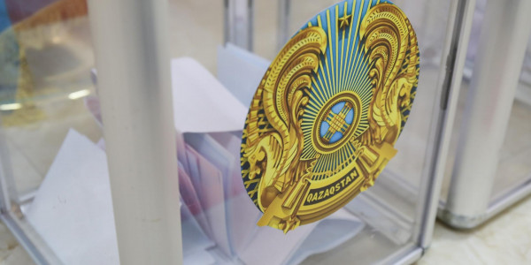 Выбор сельских акимов: в ЦИКе разъяснили требования к кандидатам