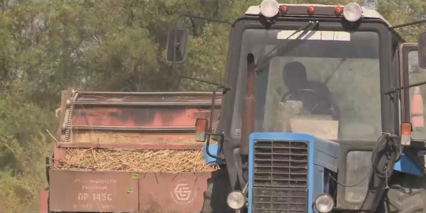 Биыл шөптің бағасы екі есе қымбаттап кетті