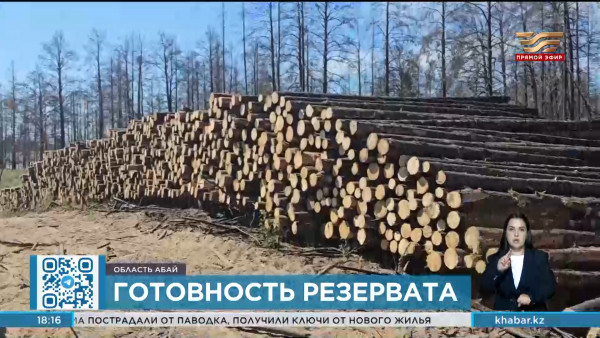 Ерлан Нысанбаев проинспектировал готовность резервата области Абай к пожароопасному периоду