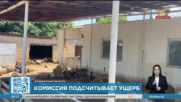 Ущерб от склоновых стоков подсчитывают в Жанатасе