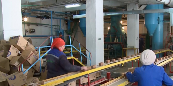 В Министерстве труда просят работодателей пройти на дистанционную работу