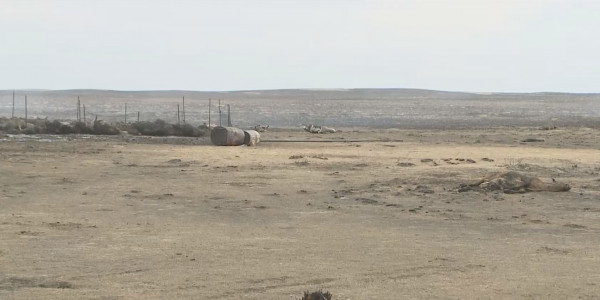 Қарағандыда өрттен болған шығын өтеледі