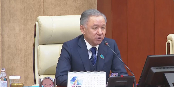 Мәжіліс 2020 жылғы жұмысын қорытындылады