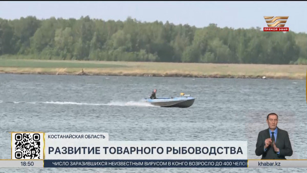 Товарное рыбоводство развивают в Костанайской области