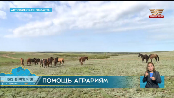 Борьба с паводками сплотила жителей Актюбинской области