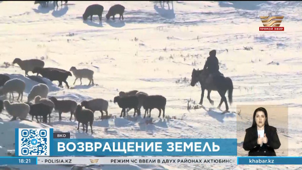 5 тыс. гектаров земель возвращены в госсобственность в ВКО