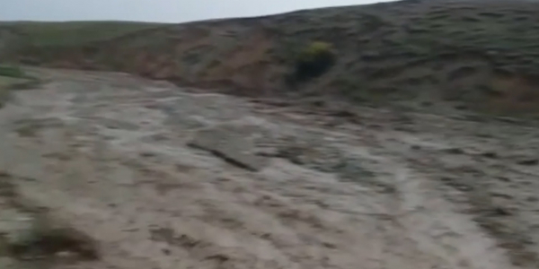 Алматы облысындағы Пенжім ауылының тұрғындарына материалдық көмек көрсетіледі