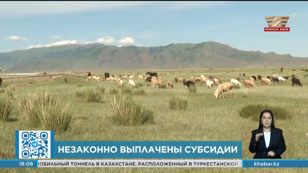 Более 4,8 млрд тенге субсидий незаконно выплачены в Алматинской области