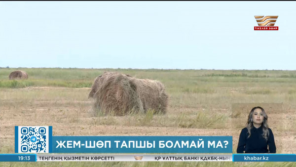 Елде жем-шөп тапшы болмай ма?