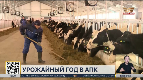 Поголовье КРС в Казахстане превысило 8 млн голов