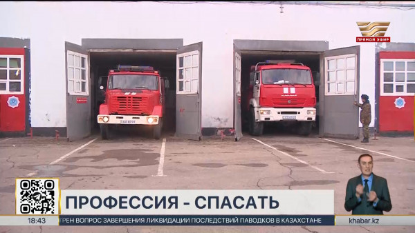 Работа спасателей: 3 тыс. граждан получили медпомощь, 10 тыс. спасены в 2024 году