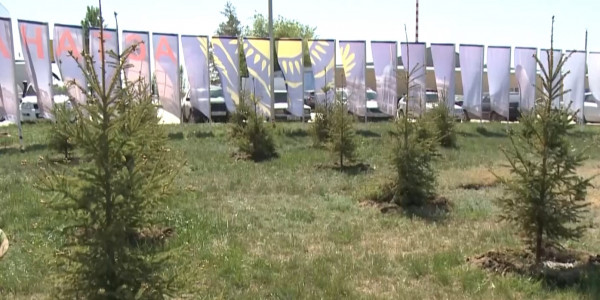 В Актобе создадут реестр зелёных насаждений