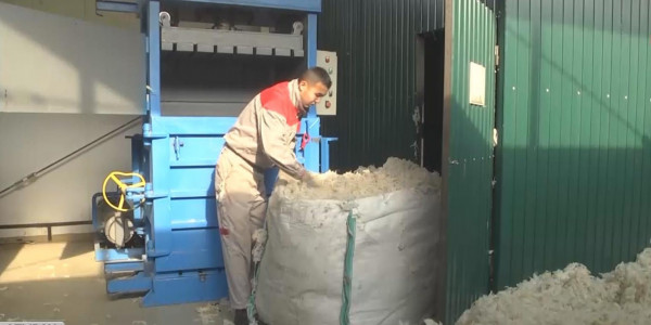 Атырау облысында қойдың жабағы жүніне сұраныс жоқ