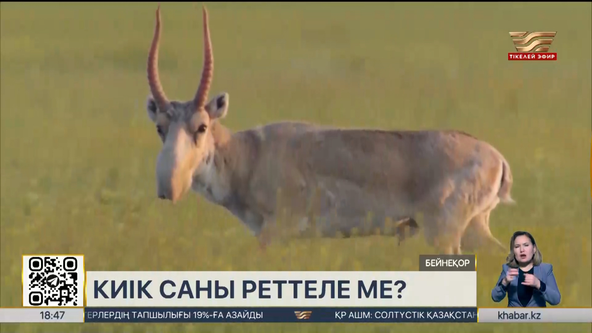 Минет және оның салдары