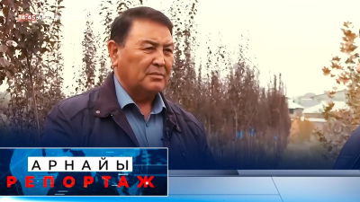 Көшетшілер көмек сұрайды | Арнайы репортаж