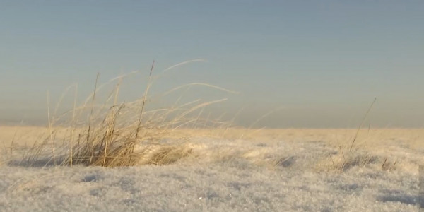 Приграничный спор между областями может сорвать весенне-полевые работы