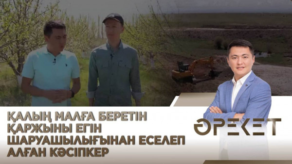 Қалың малға беретін қаржыны егін шаруашылығынан еселеп алған кәсіпкер. &laquo;Әрекет&raquo;