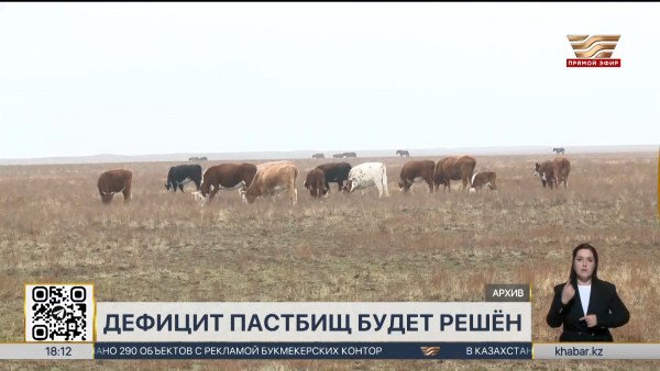 Посевные площади близ населенных пунктов могут быть возвращены государству