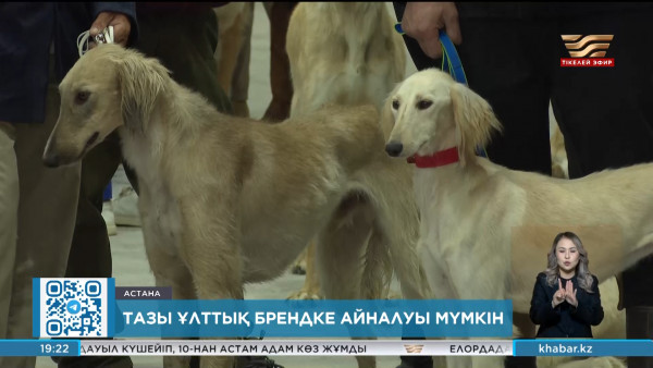 Тазы ұлттық брендке айналуы мүмкін