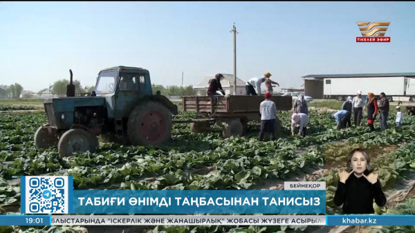 Органикалық өнім өндірісі туралы заң мақұлданды