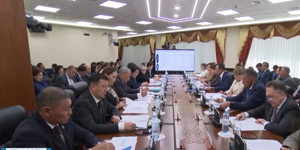 Совет по инклюзии при Cенате создадут в Казахстане