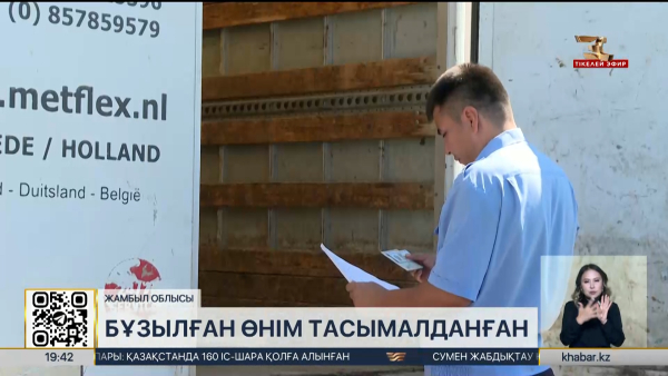 Қырғызстаннан әкелінген алхоры мен шиеден қауіпті зиянкестер анықталды