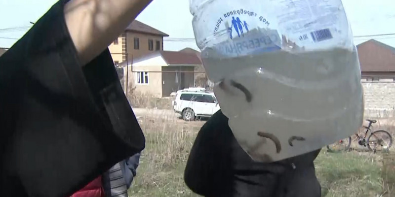 В домах жителей Алматинской области появляется вода с червями