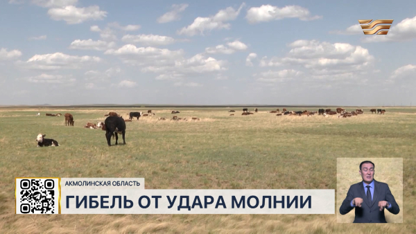 Два человека погибли от удара молнии в Акмолинской области