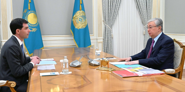 Президент &laquo;Allur компаниялар тобы&raquo; АҚ директорлар кеңесінің төрағасын қабылдады