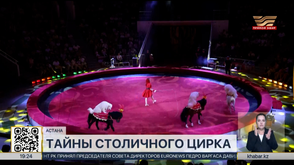 Канатоходцы и дрессировщики раскрыли тайны столичного цирка