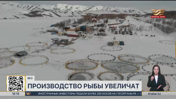 Производство рыбы увеличат в ВКО