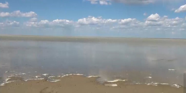 Уникальное озеро Сорколь мелеет в ЗКО