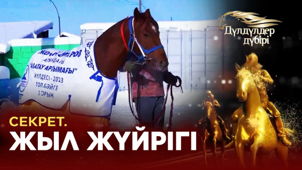 Секрет. Жыл жүйрігі. &laquo;Дүлдүлдер дүбірі&raquo;. Бәйге