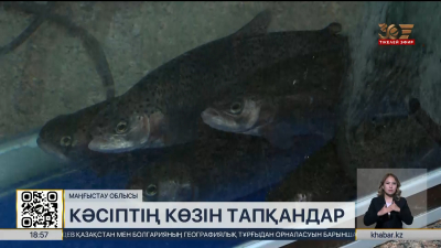 Жаңаөзендік бассейнде ханбалық өсіруді табыс көзіне айналдырды