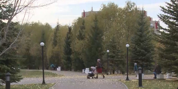 Президентские выборы: две организации планируют проводить общественные опросы